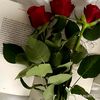 gg123498qv3