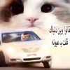 lamar_511.1
