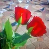 imanbou8