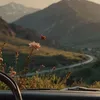 06.18..am