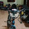 senkingajh02