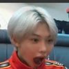 piper_lovesstraykidss