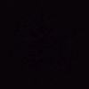 shrouk73_