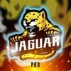 fandejaguar1