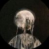 kolz_501