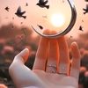 anisha5635