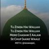 zeeshan.qadri63