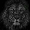 user4520483020061