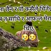khimu.pande