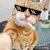 phi.hunh495