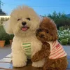 Mun Hoa Hậu 🐩