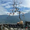 tun.nguyn6289
