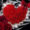 user8509009312952