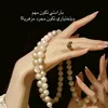 lshraq.talb