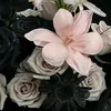 thngcanhnguyn51