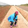 peter.maina960