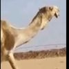 abo_khaledd4