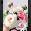 saeedanwar6917