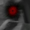 user684532145