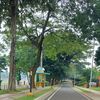siti.masitoh3479