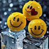 wakil.ahmad862