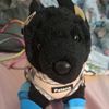 scout_the_essa0