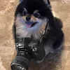 florzinha.k.j