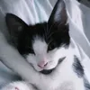 n0t.jk0