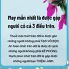 rose.kiu