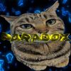paradoxy8