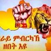 brhane439