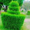 khalid000119