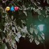 alm.mohmed7