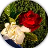 om.emad441