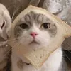 ngcutetenm.trangg