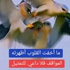 abdalkarem5269