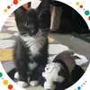 zariyaaa.fxx