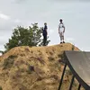 alfie_on_zircus
