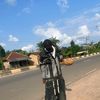 tobaynation3