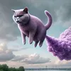 small_cat820