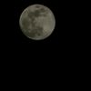 Moon🌙