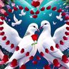 user4512625761722