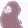 heba57555