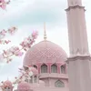 raniab203