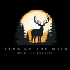 Lens of the Wild