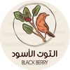 blackberryabha