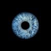 artiom_011
