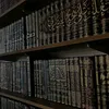 q8_cu