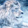 winter.lion