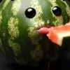 comboninja